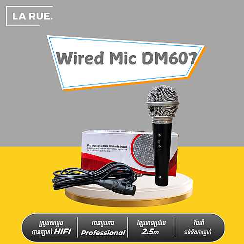 Wired Mic DM607